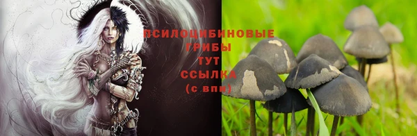 каннабис Алзамай