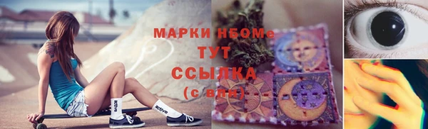 прущие грибы Алексеевка